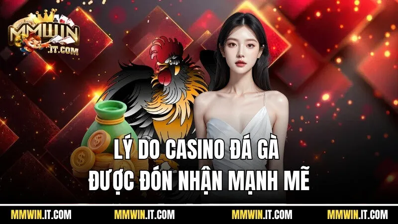 Casino Đá Gà Mmwin - Hòa Mình Vào Các Trận Đấu Kê Cực Chiến 3 Lý do casino đá gà tại Mmwin được đón nhận mạnh mẽ